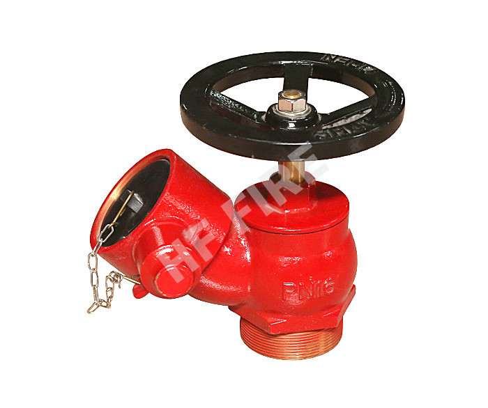 Fire hydrant valve